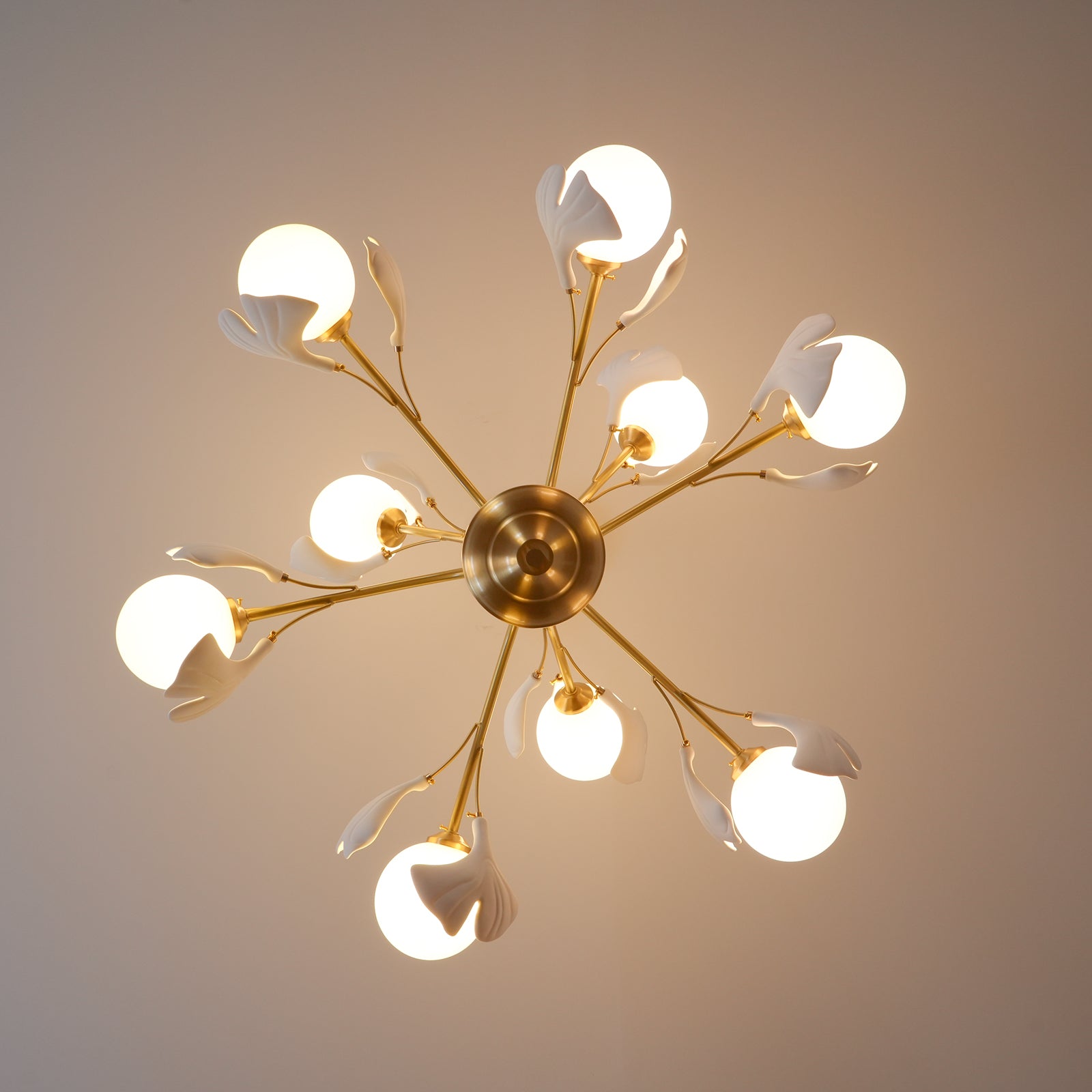 Carias B Chandeliers