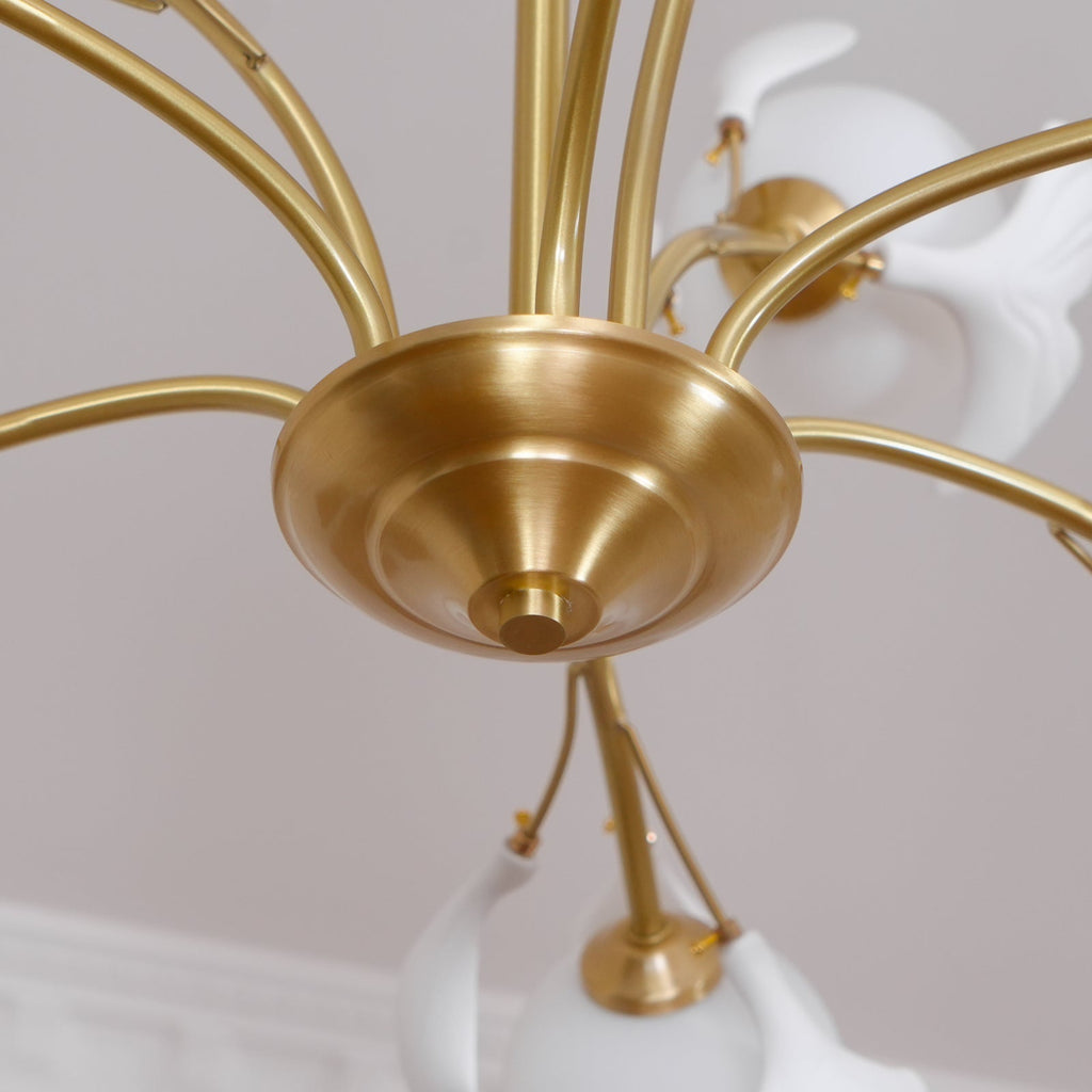 Carias B Chandeliers