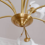 Carias B Chandeliers