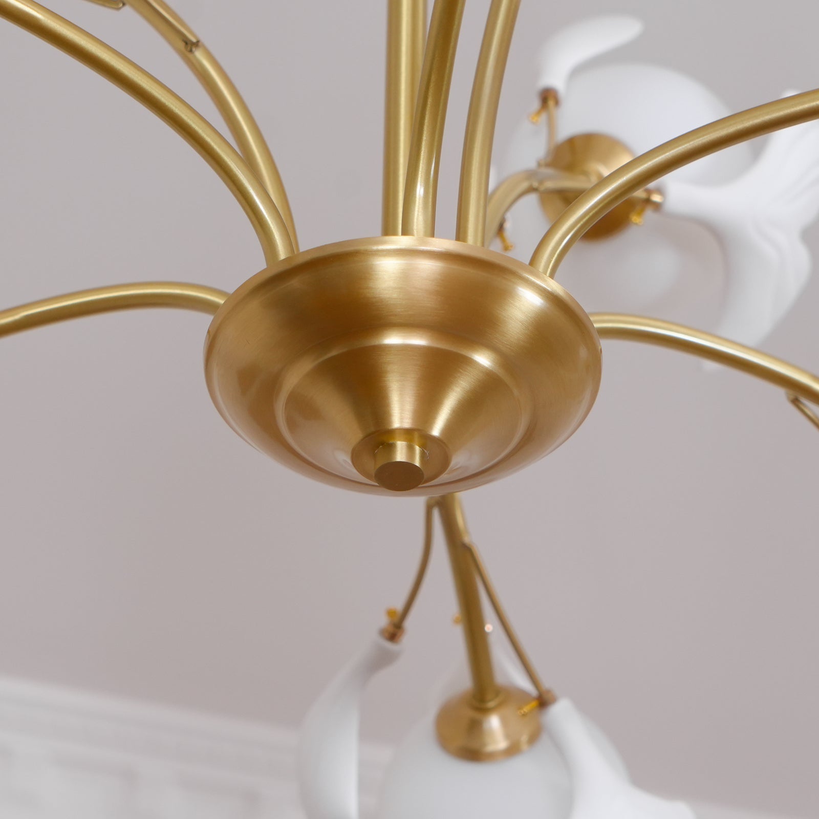 Carias B Chandeliers