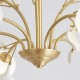 Carias B Chandeliers