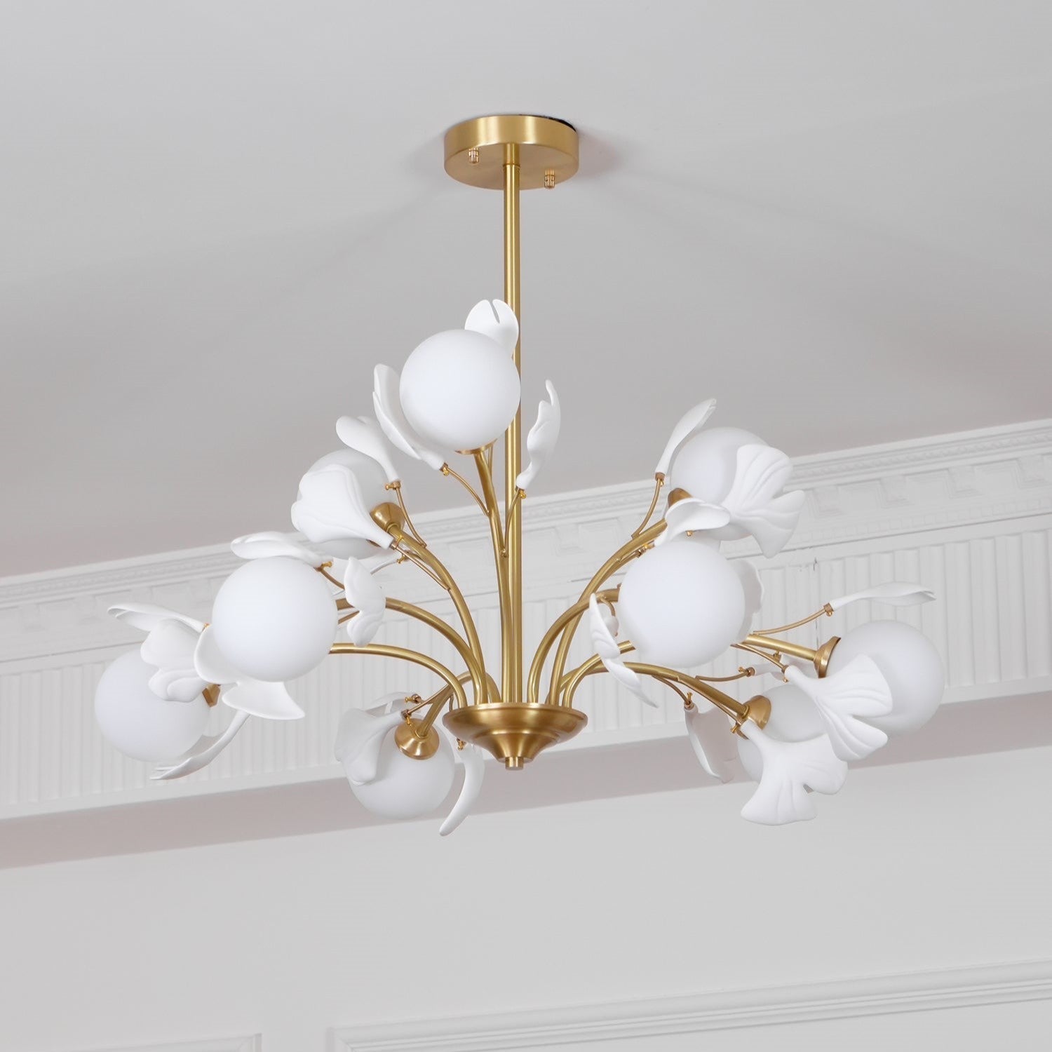 Carias B Chandeliers