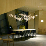 Carias Family 25J Chandeliers