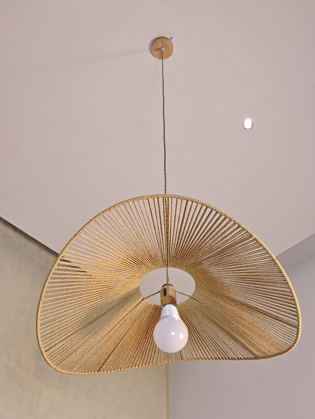 Cleme Straw Pendant Lighting