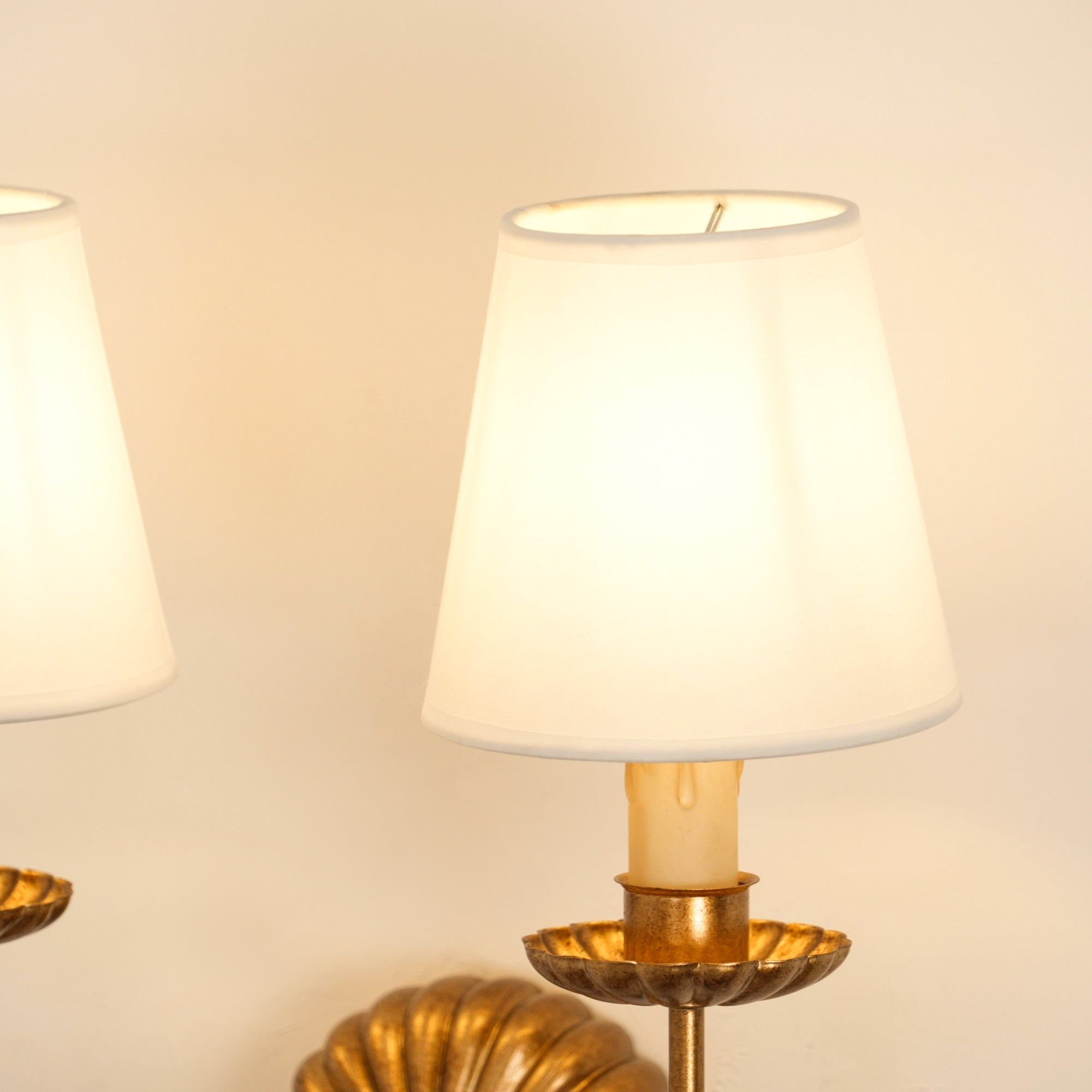 Clove Wall Sconce Double