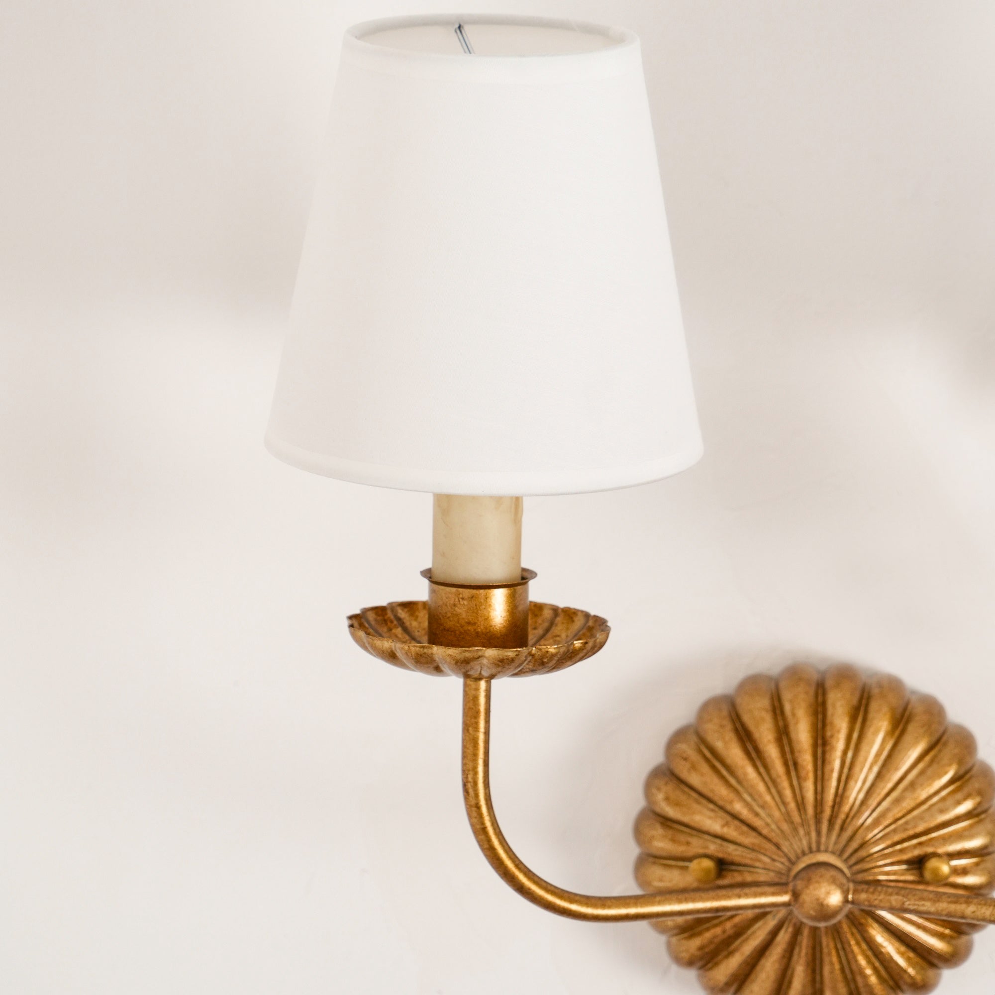 Clove Wall Sconce Double