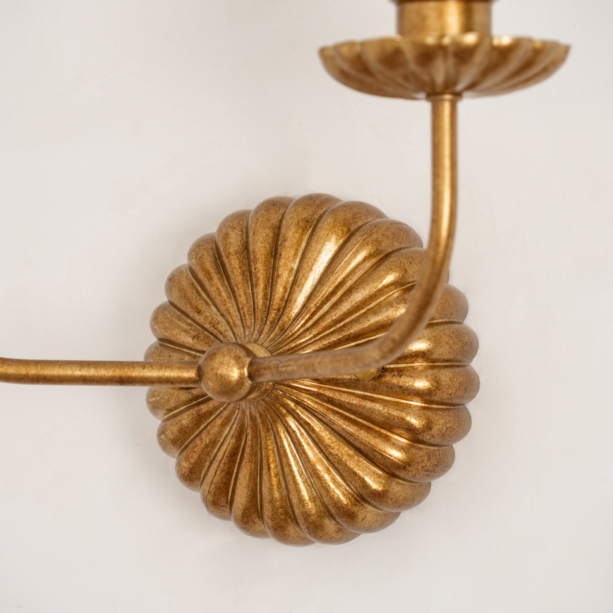 Clove Wall Sconce Double