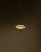 Cosmos Chandelier