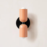 Up Down Wall Sconce