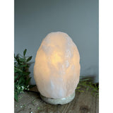 Danks Table Lamp