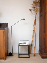 Daphine Terra Floor Lamp