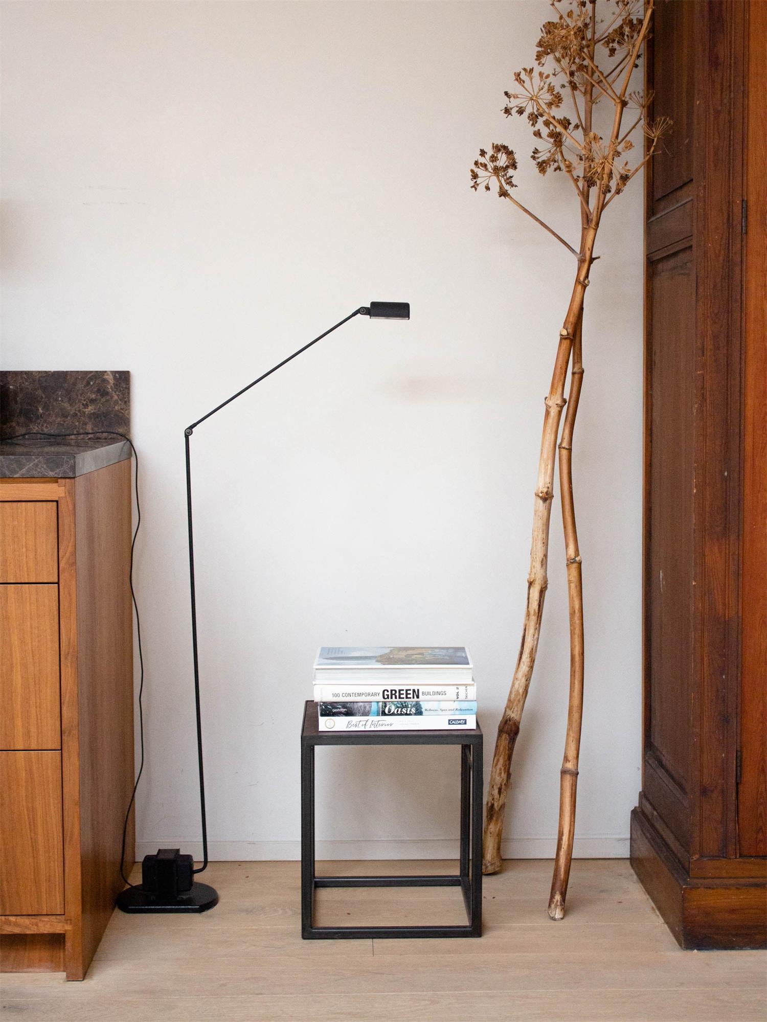 Daphine Terra Floor Lamp