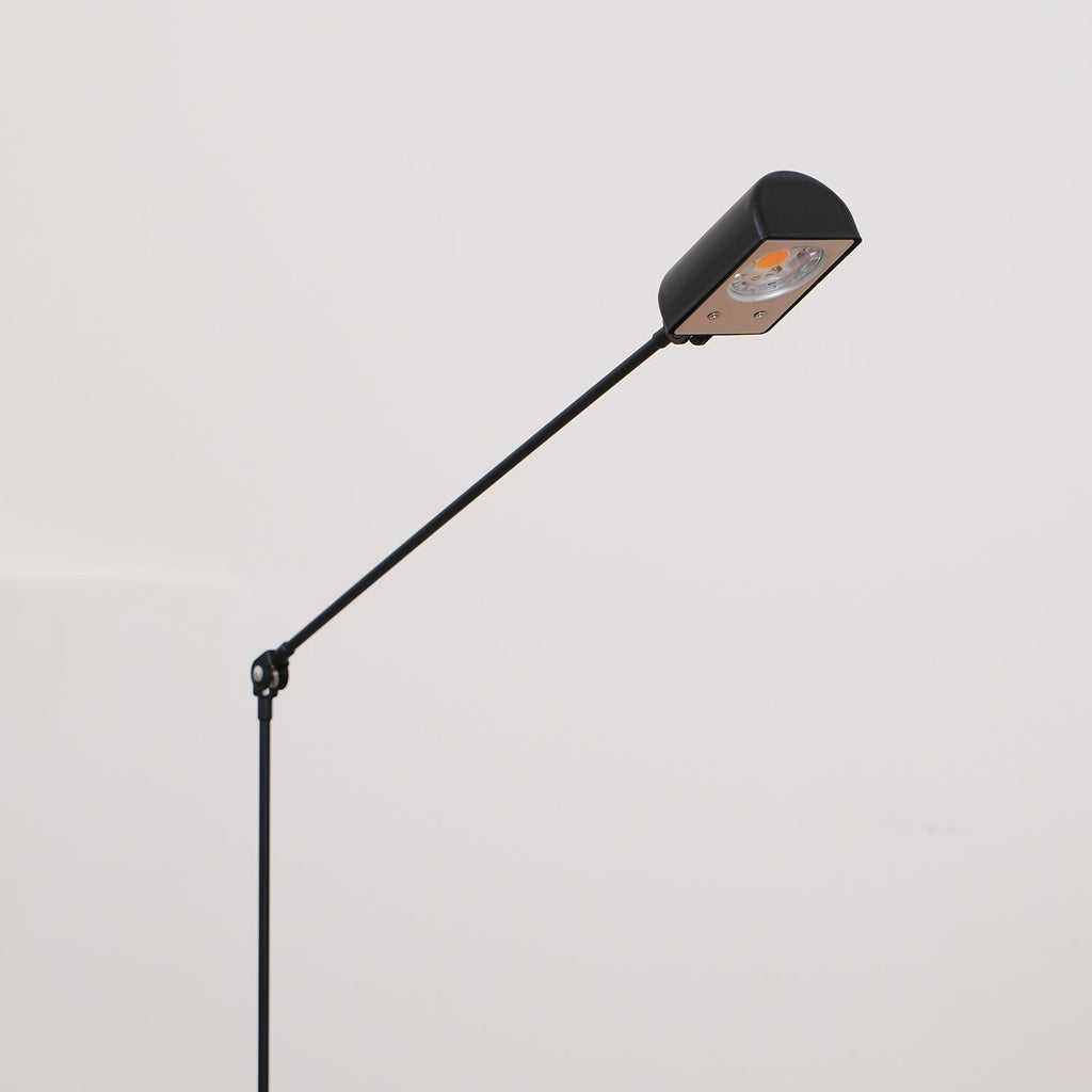 Daphine Terra Floor Lamp