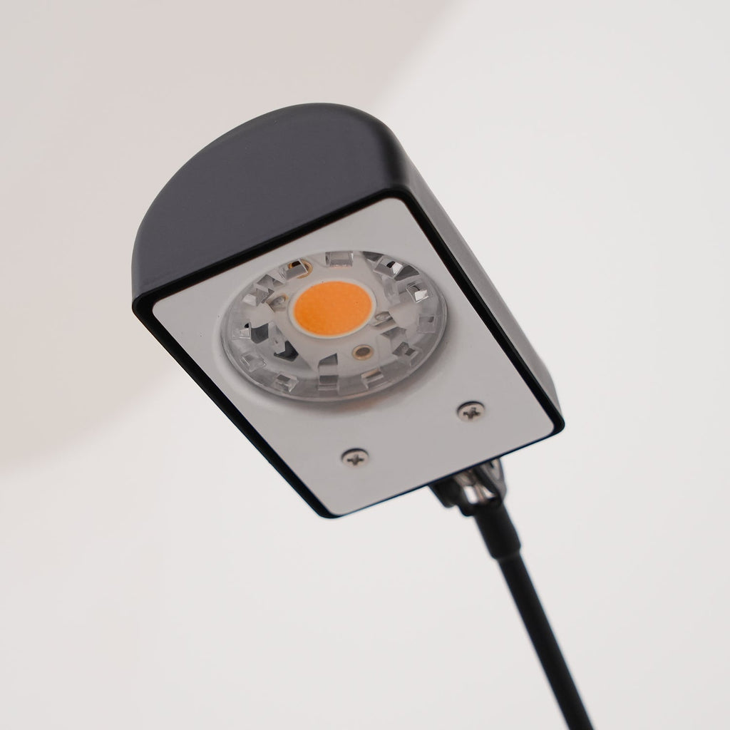 Daphine Terra Floor Lamp