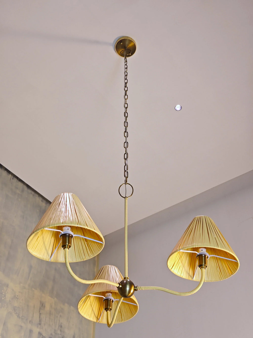 Delphine Rattan Chandelier