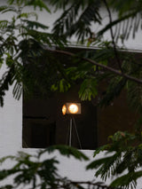 Dionna Floor Lamp