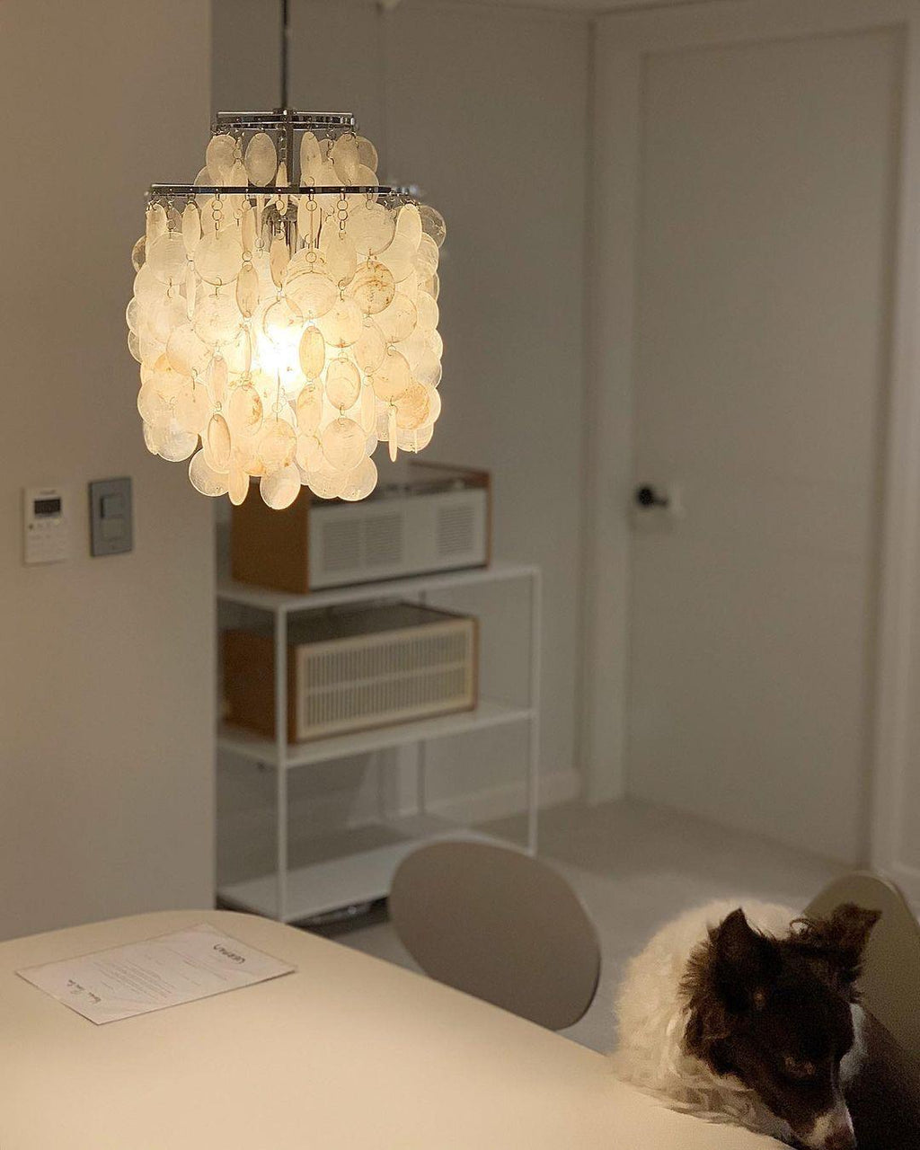 Fun DM Pendant Light