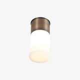 Erato Ceiling Light