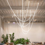 Edna Loop Pendant Lighting