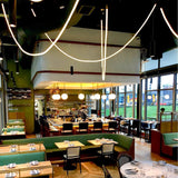 Edna Loop Pendant Lighting