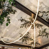Edna Loop Pendant Lighting