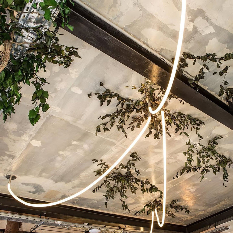 Edna Loop Pendant Lighting