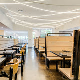 Edna Loop Pendant Lighting
