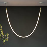 Edna Loop Pendant Lighting