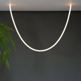 Edna Loop Pendant Lighting