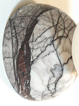 Eklipso Plum Blossom Sconce