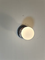 Eklipso Plum Blossom Sconce