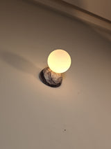 Eklipso Plum Blossom Sconce