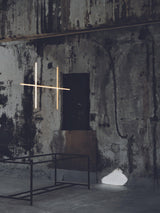 Coordinates Suspension Light