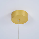 Coordinates Suspension Light