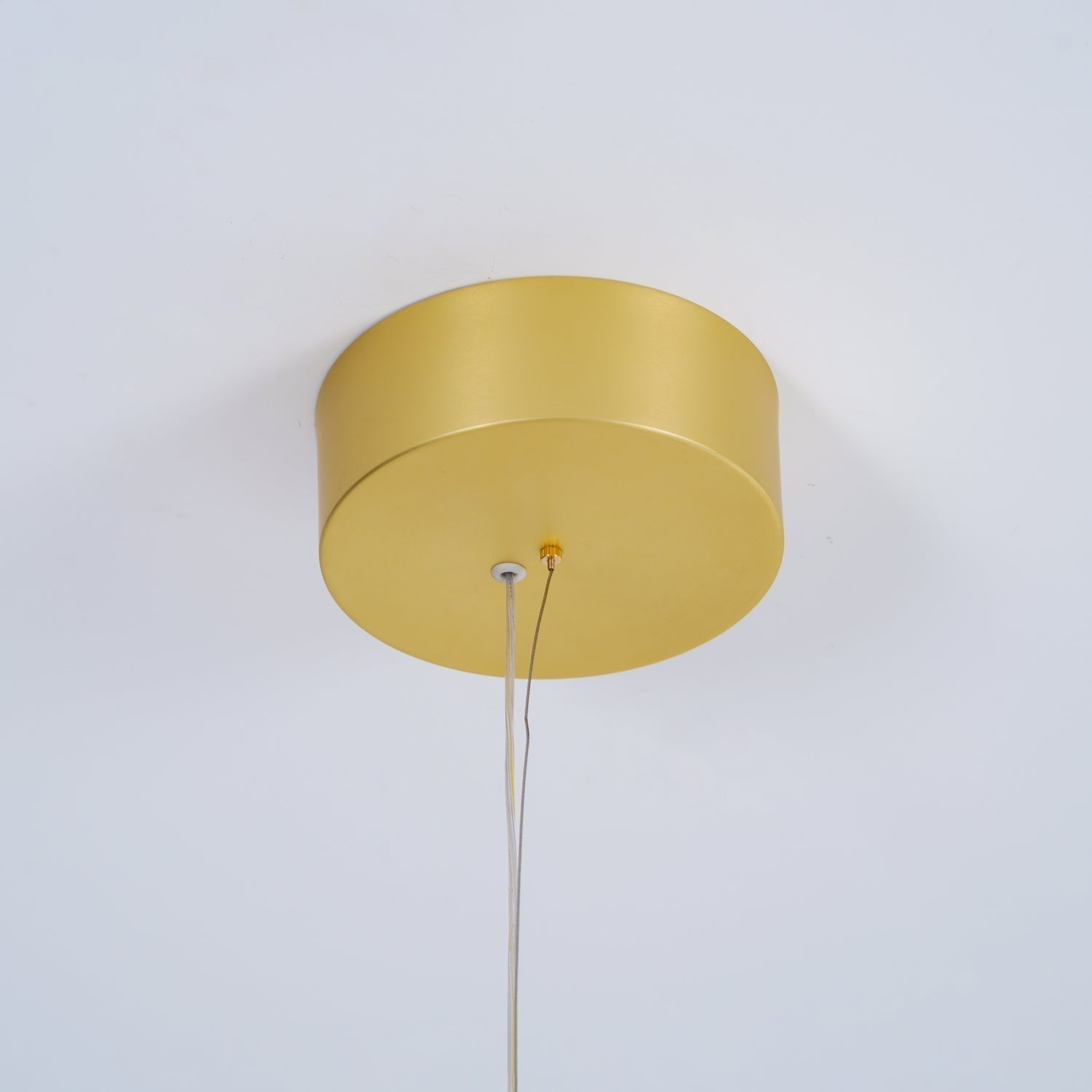 Coordinates Suspension Light