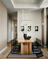 Coordinates Suspension Light