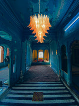 Fancy Italian Murano Felci Chandelier