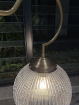 Floren Pendant Light