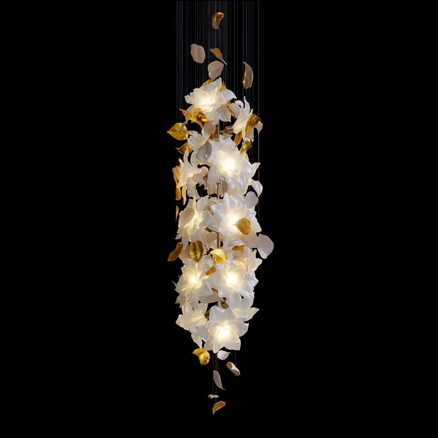 Plymel Chandeliers