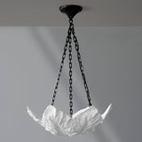 Folly Gesso Ceiling