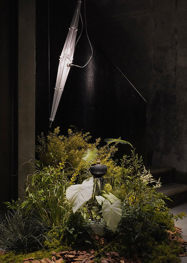 Fragment #01/02 Pendant Light