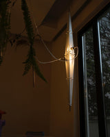 Fragment #01/02 Pendant Light