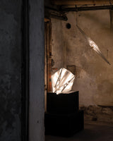 Fragment #01/02 Pendant Light
