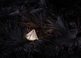 Fragment #04 Table Lamp