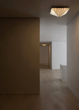 Fragment #06 Ceiling Lamp