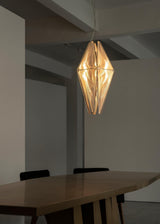 Fragment #08 Pendant Light