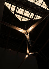Fragment #10 Pendant Light