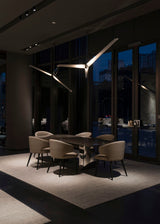 Fragment #10 Pendant Light