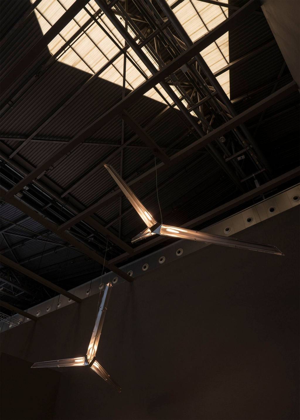 Fragment #10 Pendant Light