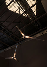 Fragment #10 Pendant Light
